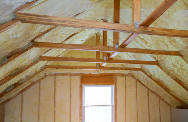 Best Blown-in Insulation in Waterloo, NE