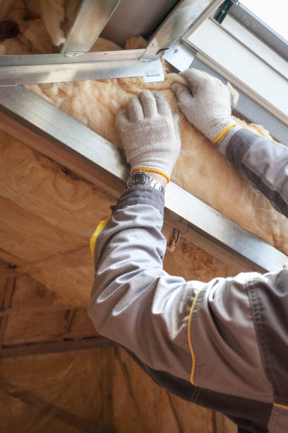 Best Spray Foam Insulation in Waterloo, NE