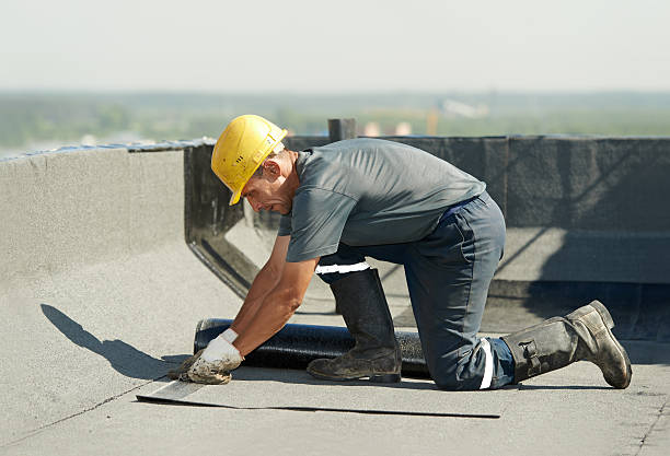 Best Energy Efficiency Insulation in Waterloo, NE