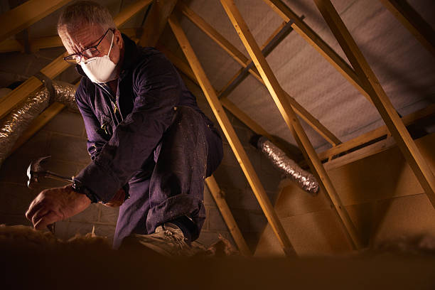 Types of Insulation We Offer in Waterloo, NE